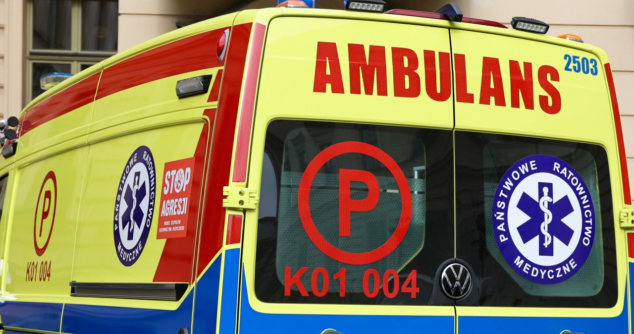 Stoszowice. Dolny Śląsk. Dziecko śmiertelnie ranione przez konia Stoszowice. Dolny Śląsk. Dziecko śmiertelnie ranione przez konia