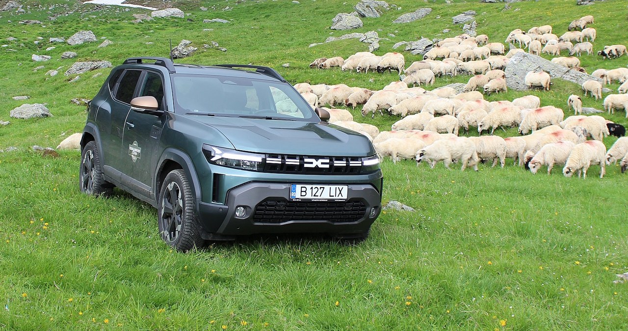Dacia stworzyła samochód marzeń Polaka. Prawie zjadły mi go owce