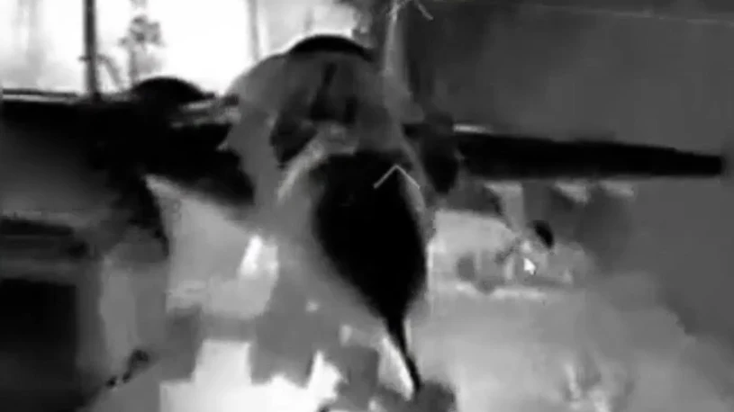 Ukrainian drone destroys Russian MiG-29 over Crimea — tens of millions in losses