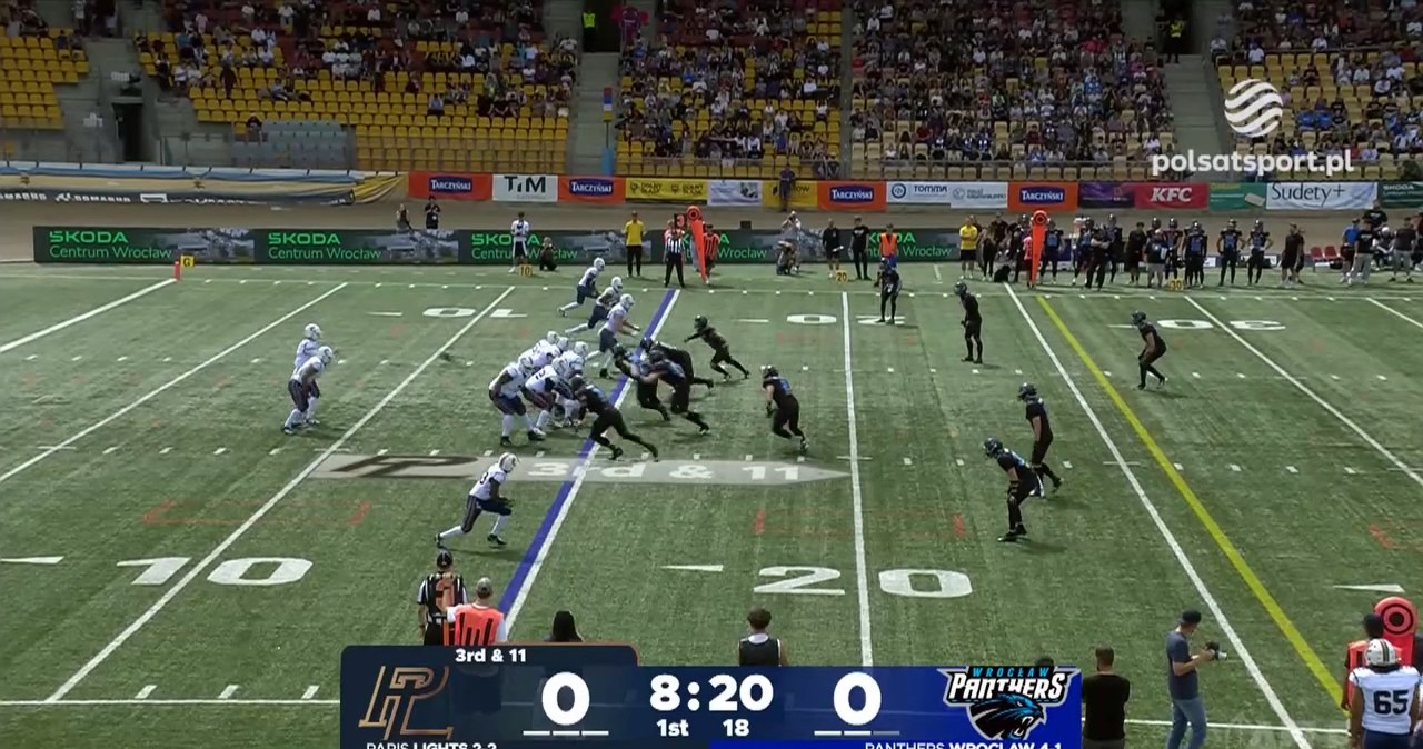Panthers Wrocław - Paris Lights. Skrót meczu [WIDEO]