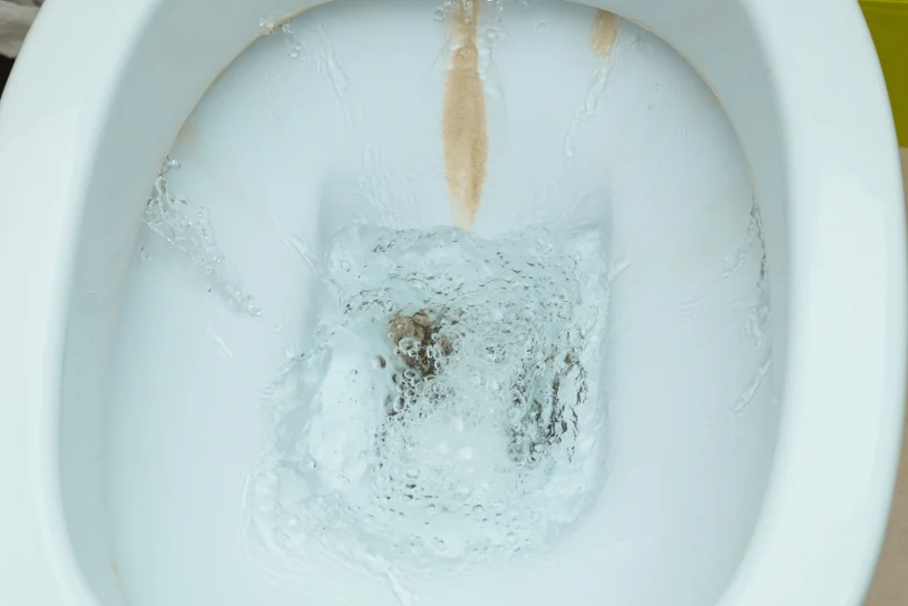 Zacieki w muszli klozetowej znikną po użyciu kwasu cytrynowego i octu
