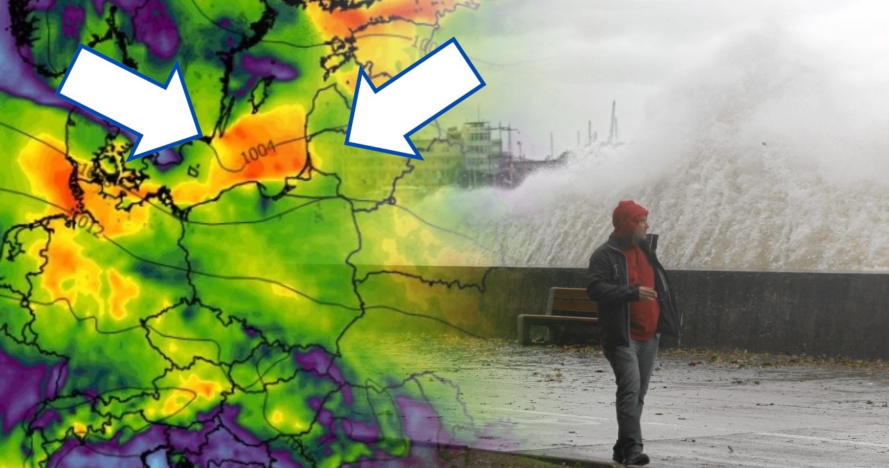 Nadchodzi koszmarny wiatr, który potrafi łamać drzewa. Masa ostrzeżeń IMGW