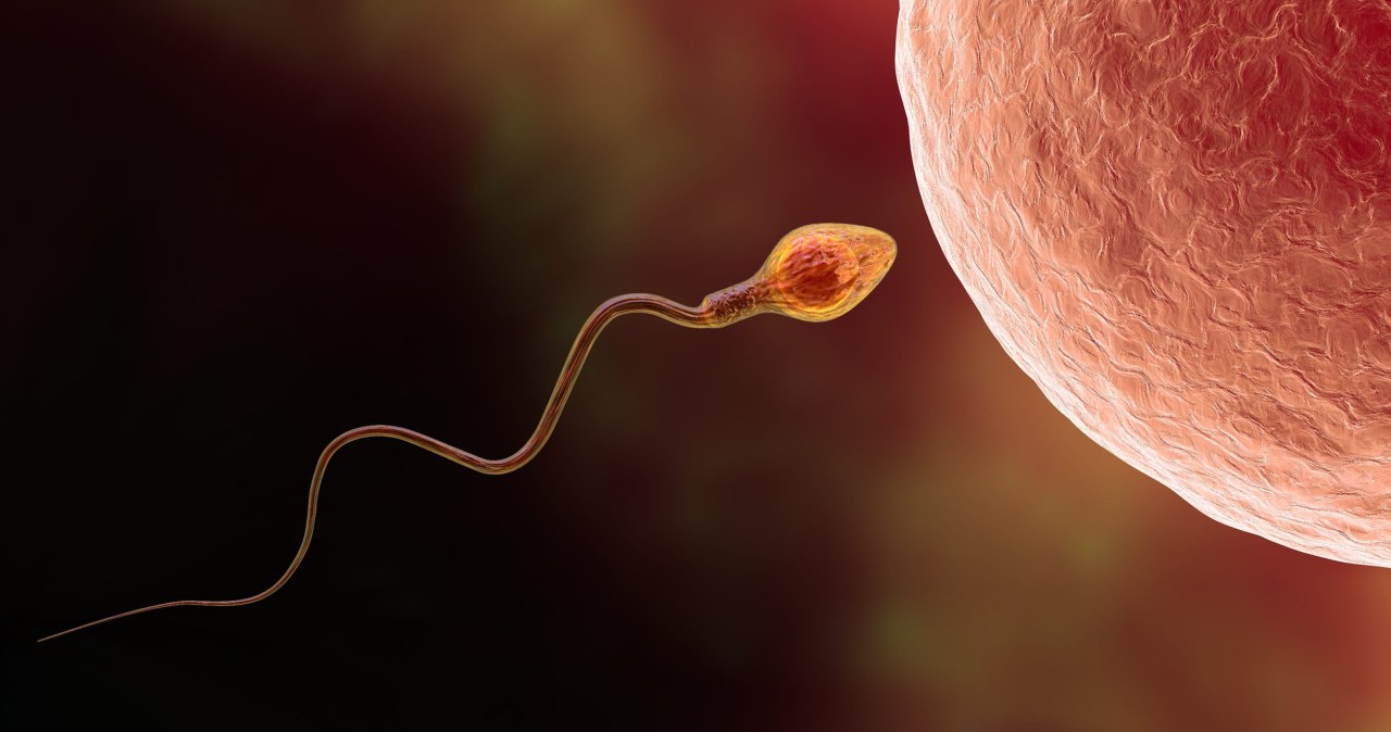 Zanieczyszczenie powietrza może zmieniać DNA plemników. To niepokojące