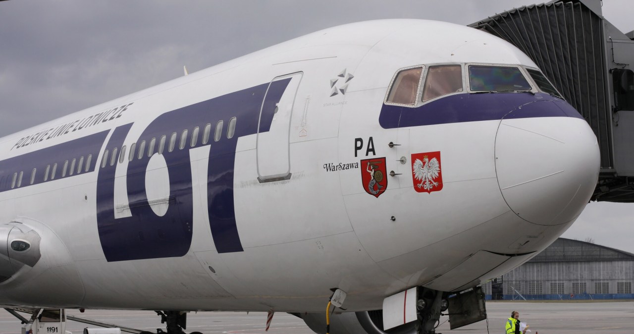 Na razie jesteśmy daleko za Niemcami. Port Polska może pomóc to zmienić