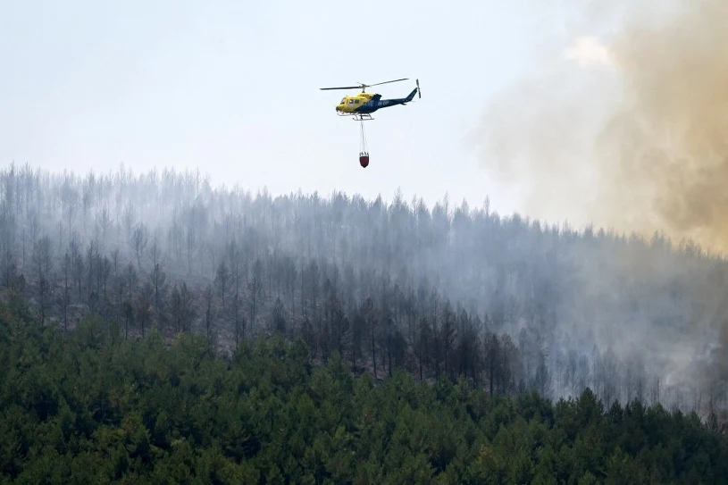 12 ofiar pożaru lasu w Almerii w Hiszpanii — władze mówią o "bezprecedensowej tragedii"