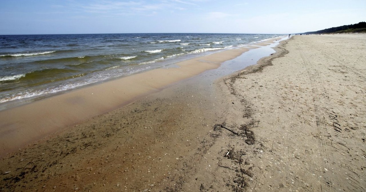 Sprzątał plażę, znalazł bursztyn. Skarb Bałtyku może być wart fortunę Sprzątał plażę, znalazł bursztyn. Skarb Bałtyku może być wart fortunę