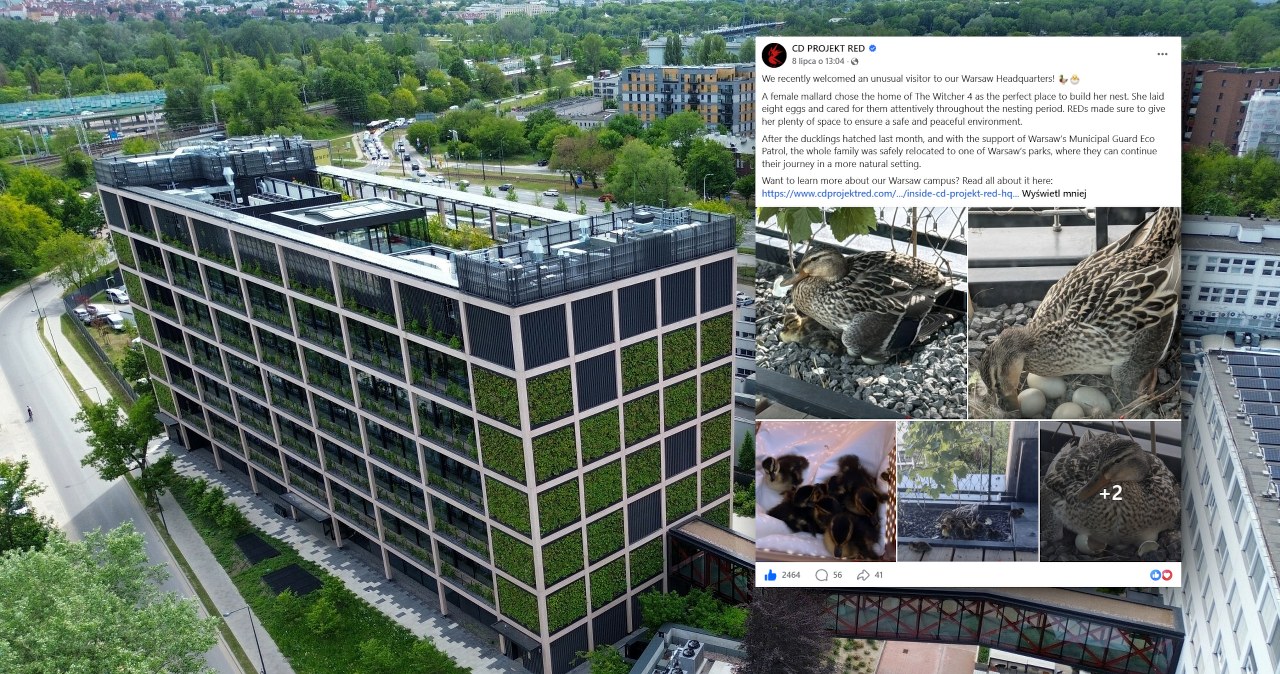 Zaskakujący gość u twórców „Wiedźmina”. Interweniowała straż miejska Zaskakujący gość u twórców „Wiedźmina”. Interweniowała straż miejska