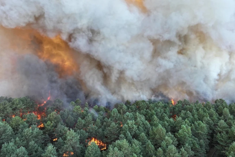 Wielki pożar w lesie Fontainebleau. Ewakuacja setek mieszkańców