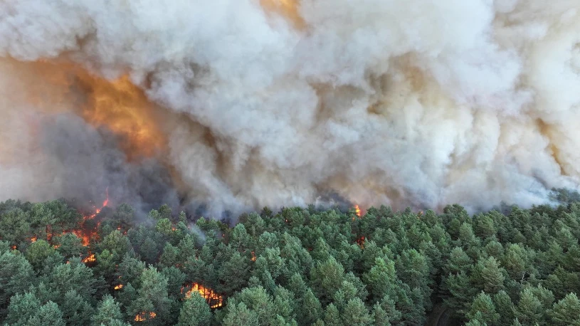 Ogień strawił tysiące hektarów Francji. Zatrzymano 59 osób