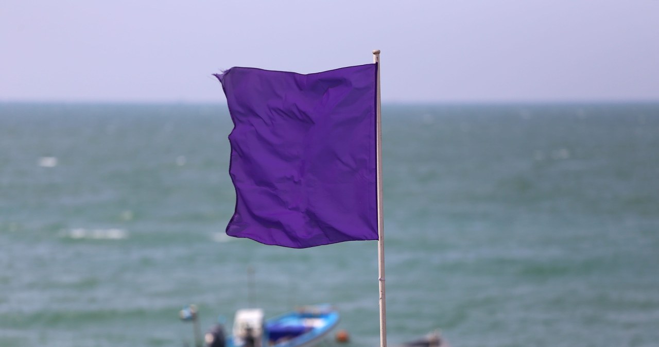 Widzisz fioletową flagę na plaży? Sprawdź, co oznacza