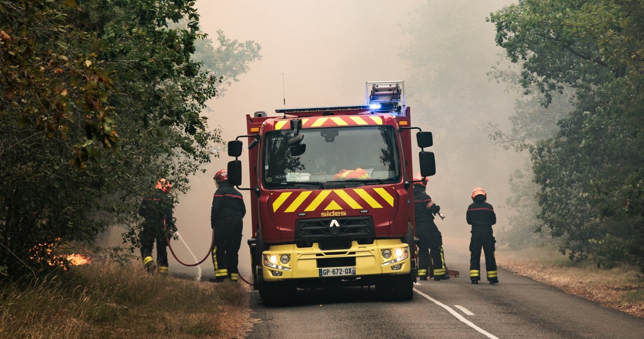 Francja. Pożar lasu Fontainbleau. Strażak ochotnik zatrzymany Francja. Pożar lasu Fontainbleau. Strażak ochotnik zatrzymany