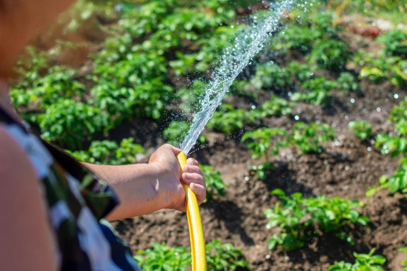 Water use bans in Polish municipalities — fines for violations this summer