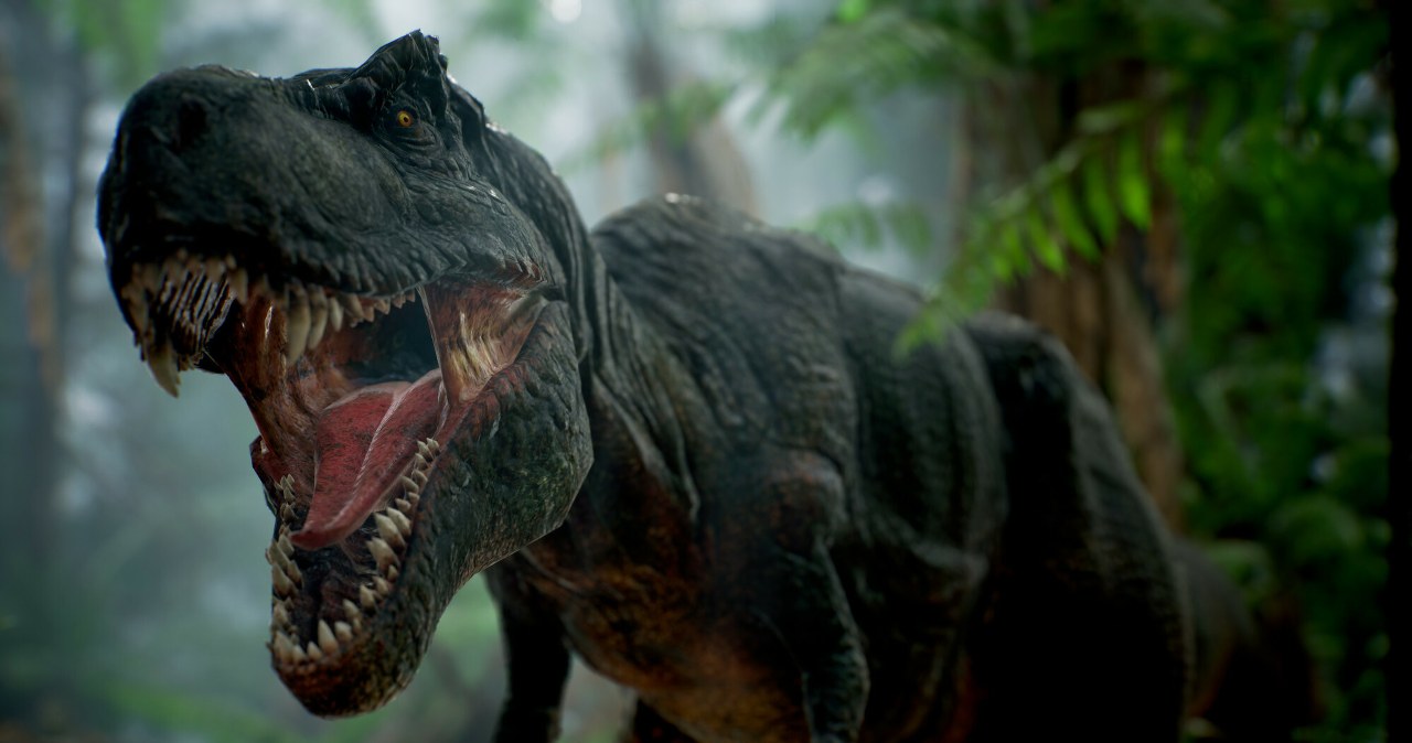 Tyranozaur wracał do swego łupu i go ukrywał. Nowe odkrycie Tyranozaur wracał do swego łupu i go ukrywał. Nowe odkrycie