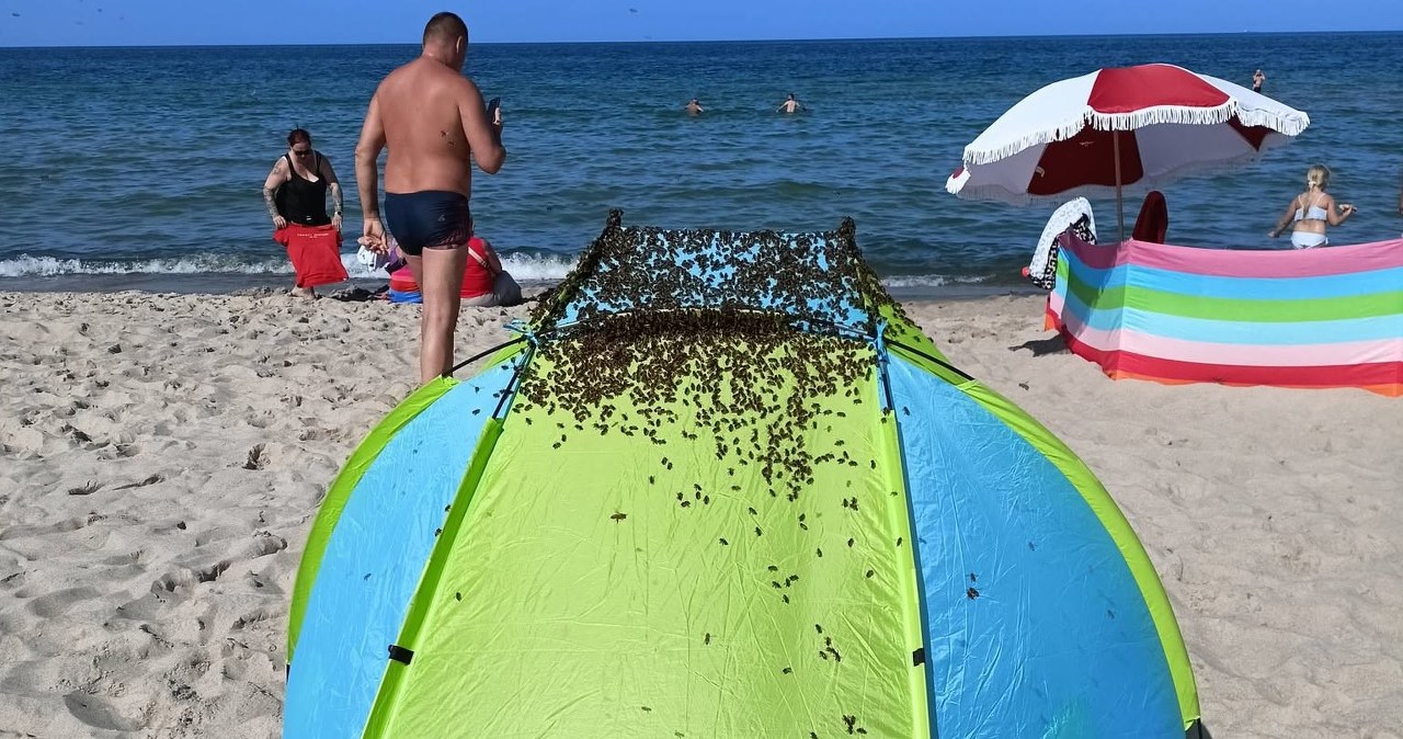 Zaskakujący widok na plaży w Jastarni. Interweniowali strażacy Zaskakujący widok na plaży w Jastarni. Interweniowali strażacy