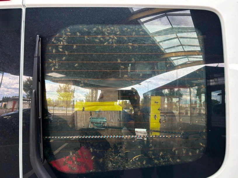 Polak zatrzymany na granicy. Celnicy nie mogli uwierzyć, co przewozi