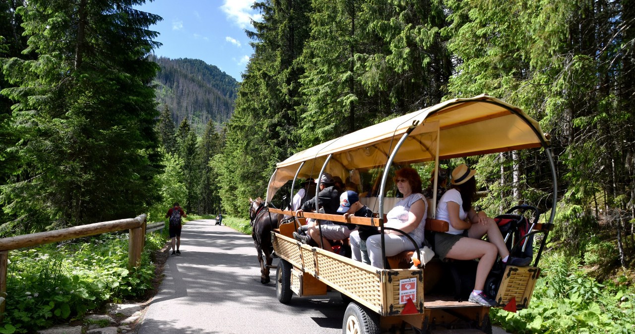 Morskie Oko. Fiakrzy zaskoczyli aktywistów. Pokrzyżowali im plany Morskie Oko. Fiakrzy zaskoczyli aktywistów. Pokrzyżowali im plany