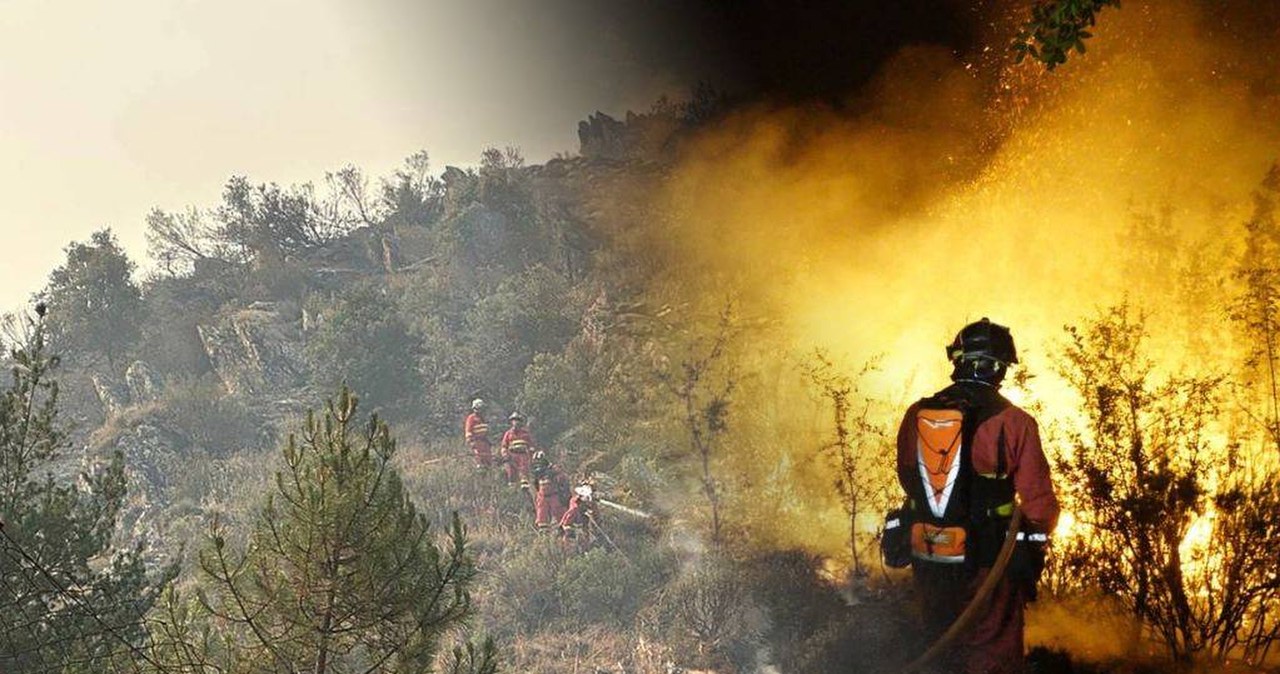 Hiszpania. Ogromny pożar w La Mierla, płoną tysiące hektarów Hiszpania. Ogromny pożar w La Mierla, płoną tysiące hektarów