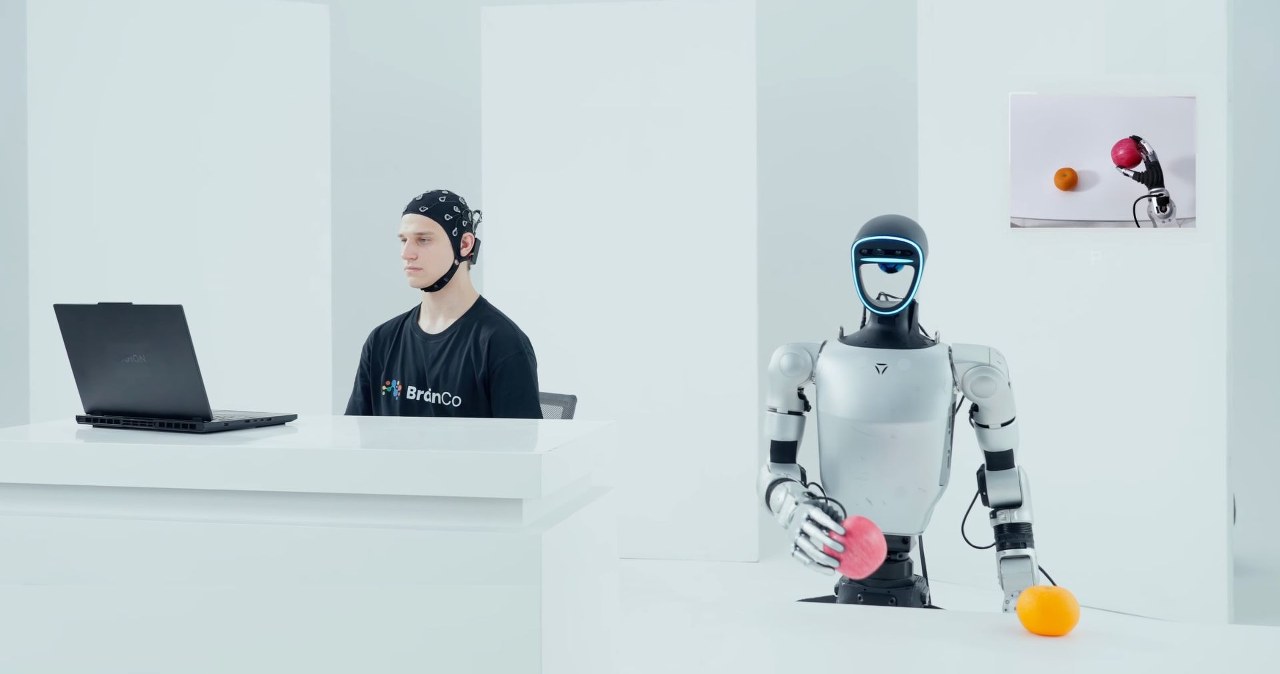 Nowa technologia pozwala sterować robotami przy użyciu fal mózgowych