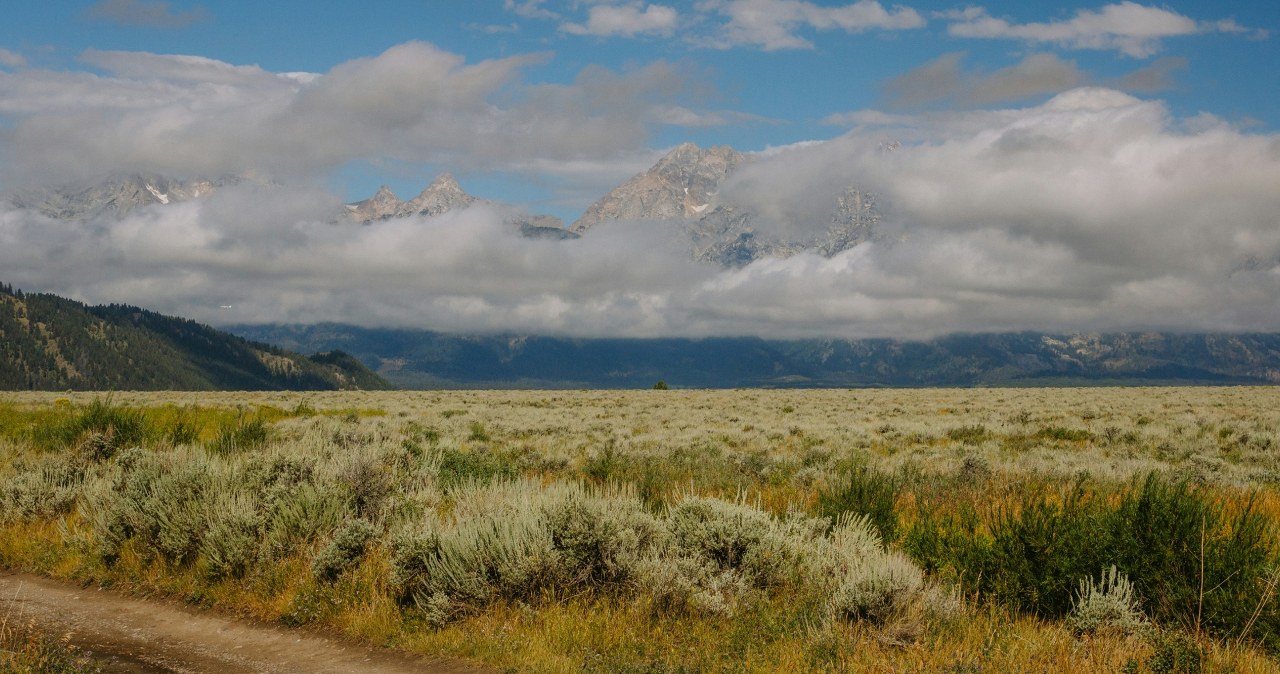 Przez 47 lat pomagały hamować ocieplenie. Naukowcy mówią o zmianach