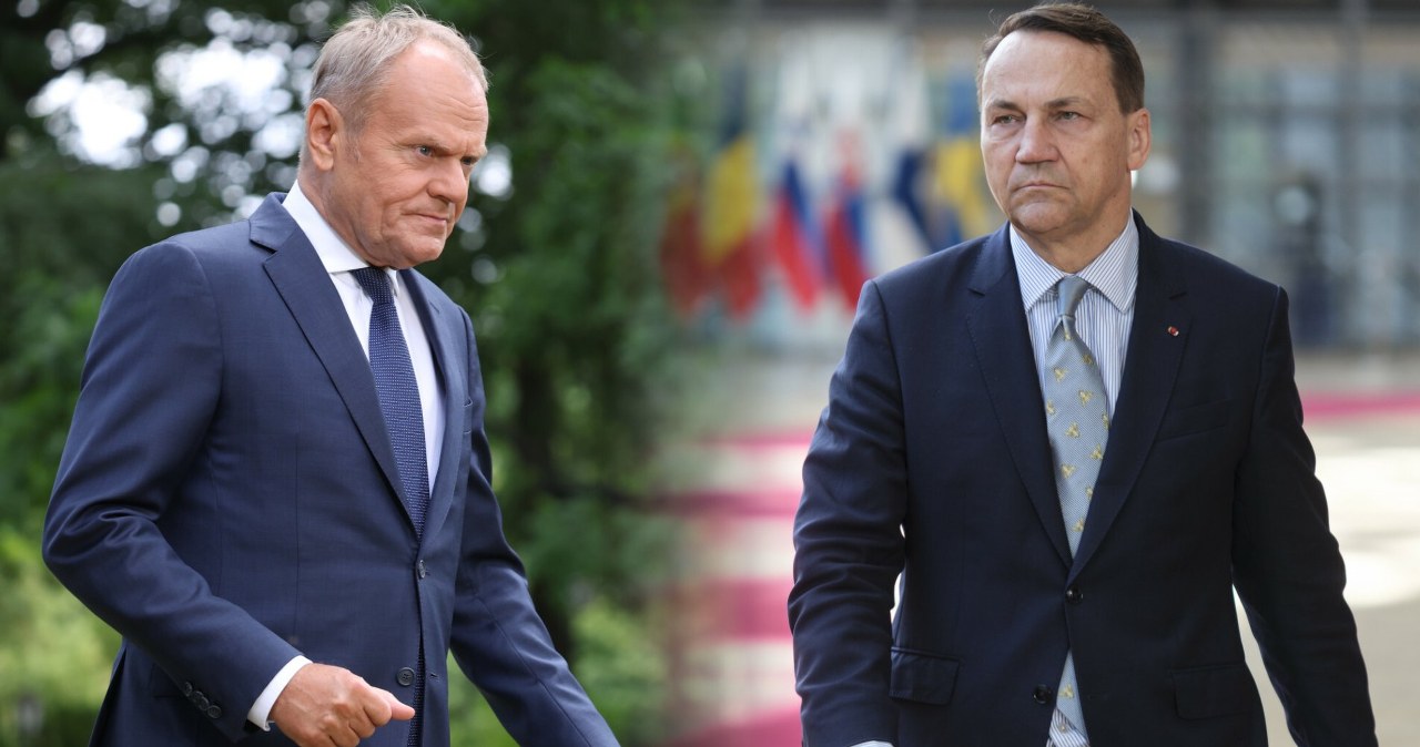 Sondaż: Kto premierem z KO? Polacy wskazali swojego faworyta
