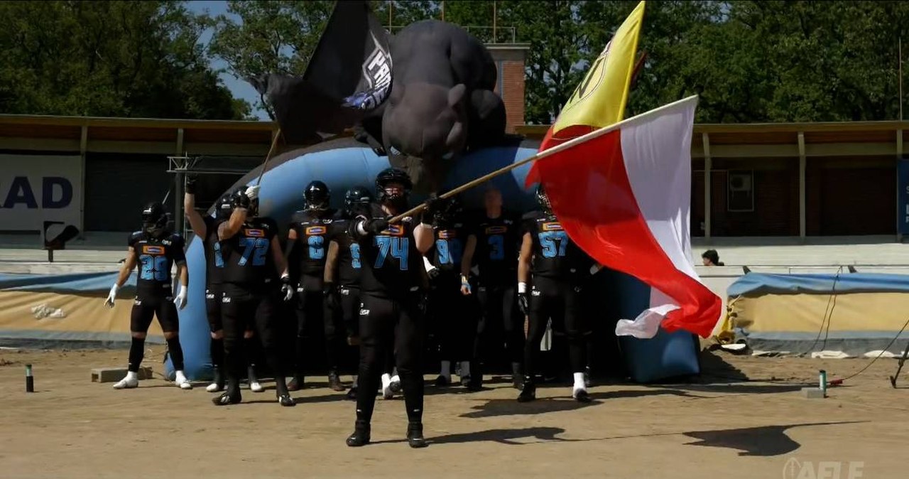 Świetne spotkanie Panthers Wrocław. Cenna wygrana na Stadionie Olimpijskim