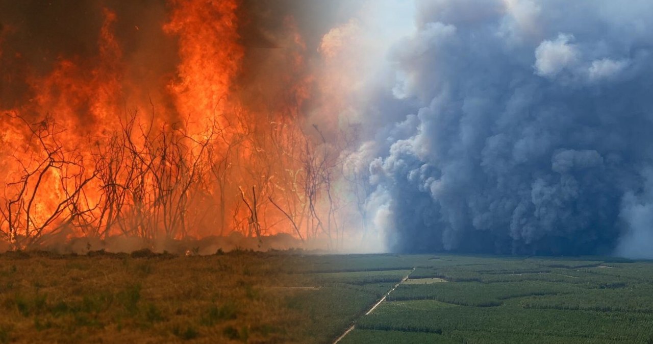 Francja. Chmury pyrocumulonimbus na niebie. Niecodzienny widok w Żyrondzie Francja. Chmury pyrocumulonimbus na niebie. Niecodzienny widok w Żyrondzie