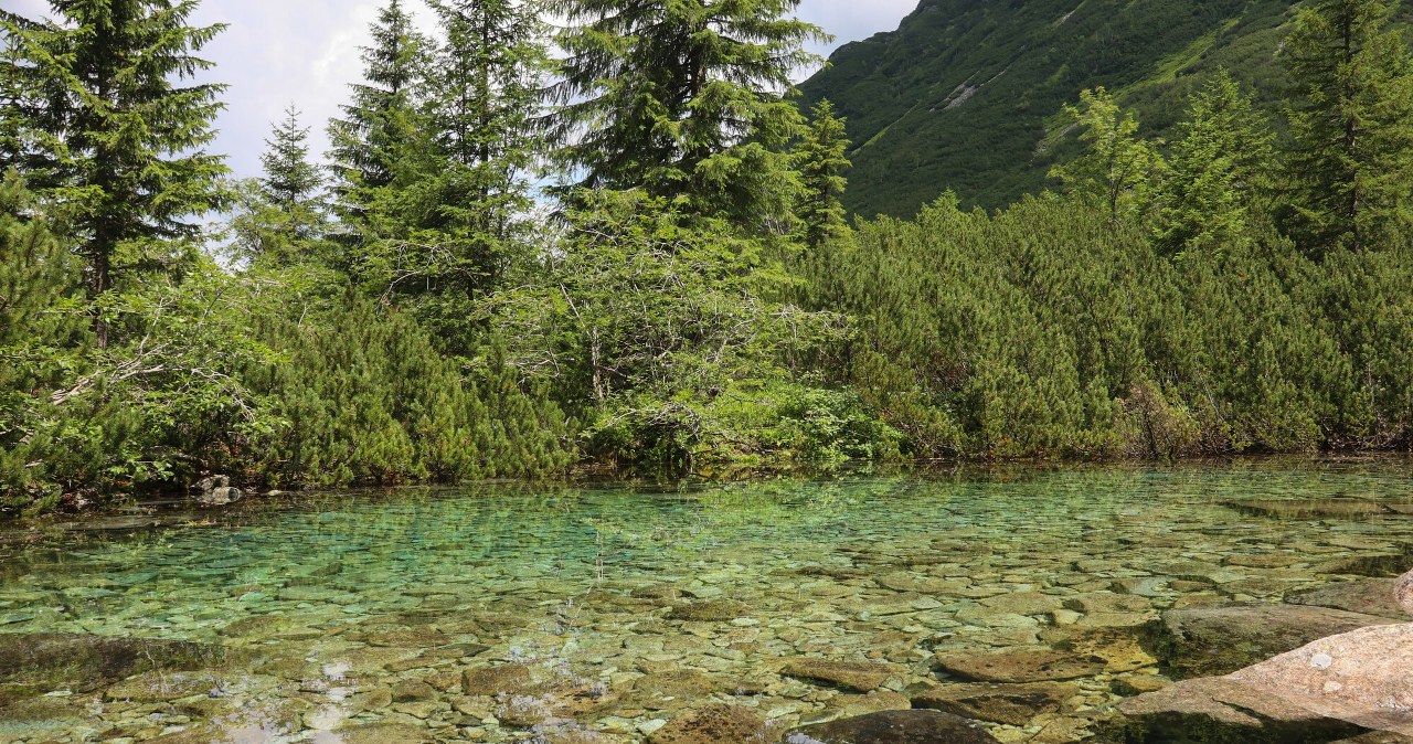 Tatry mają szansę w konkursie. „Najbardziej pożądany region w Europie” Tatry mają szansę w konkursie. „Najbardziej pożądany region w Europie”