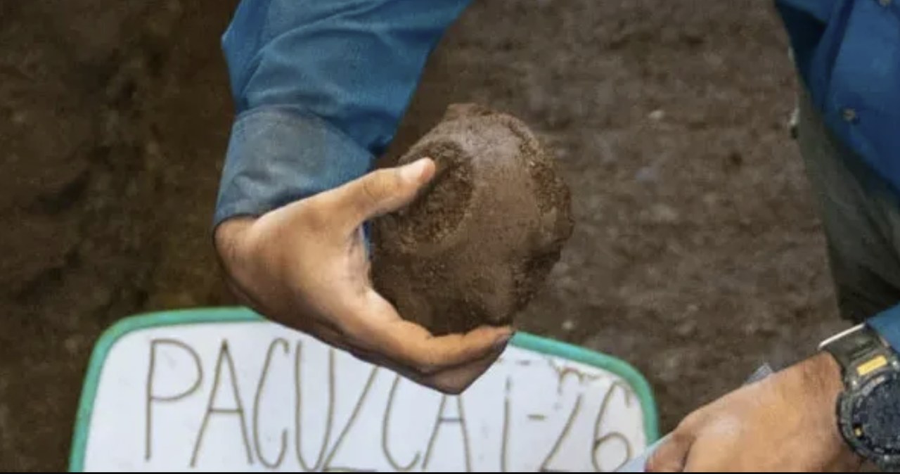 Archeolodzy odkryli niezwykły grób. Przy dłoni zmarłego leżał żółw