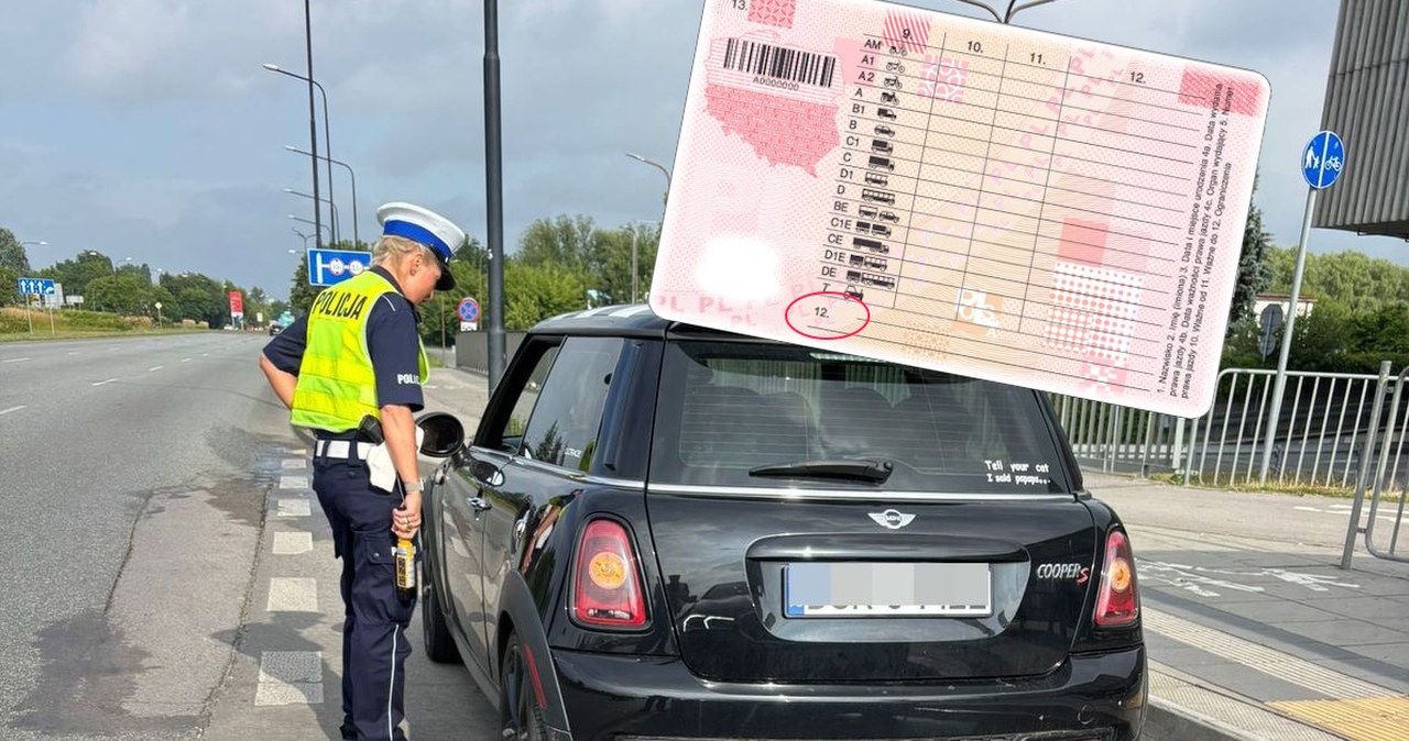 Nowe kody w prawie jazdy. Rząd spóźnia się ze zmianą prawa