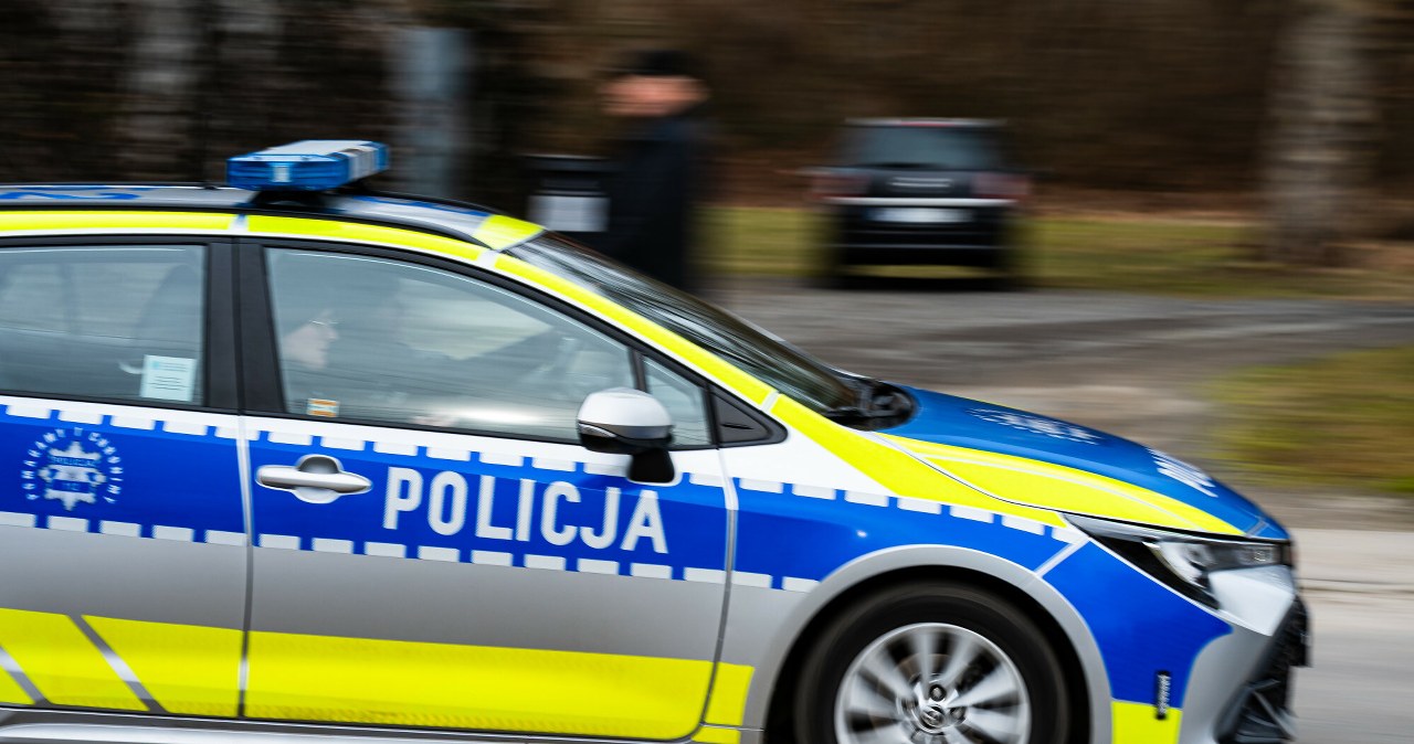 Nie przyjął 100 zł mandatu, bo tak doradziło AI. W sądzie mocno pożałował