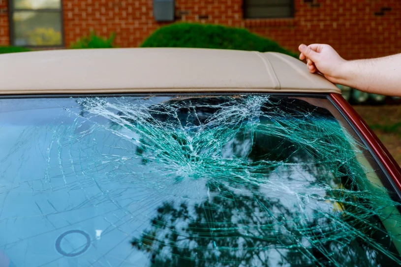 Kasztan od sąsiada uszkodził auto — czy można żądać odszkodowania?