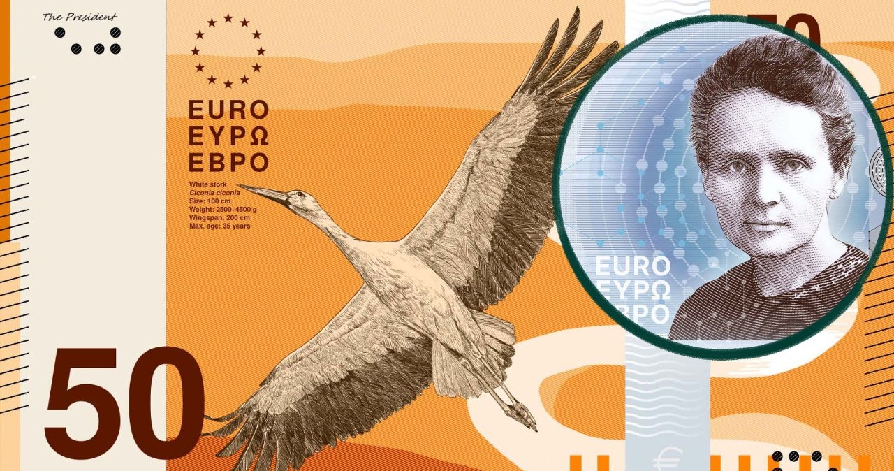 Skłodowska-Curie konkuruje o nowy banknot euro z bocianami Skłodowska-Curie konkuruje o nowy banknot euro z bocianami