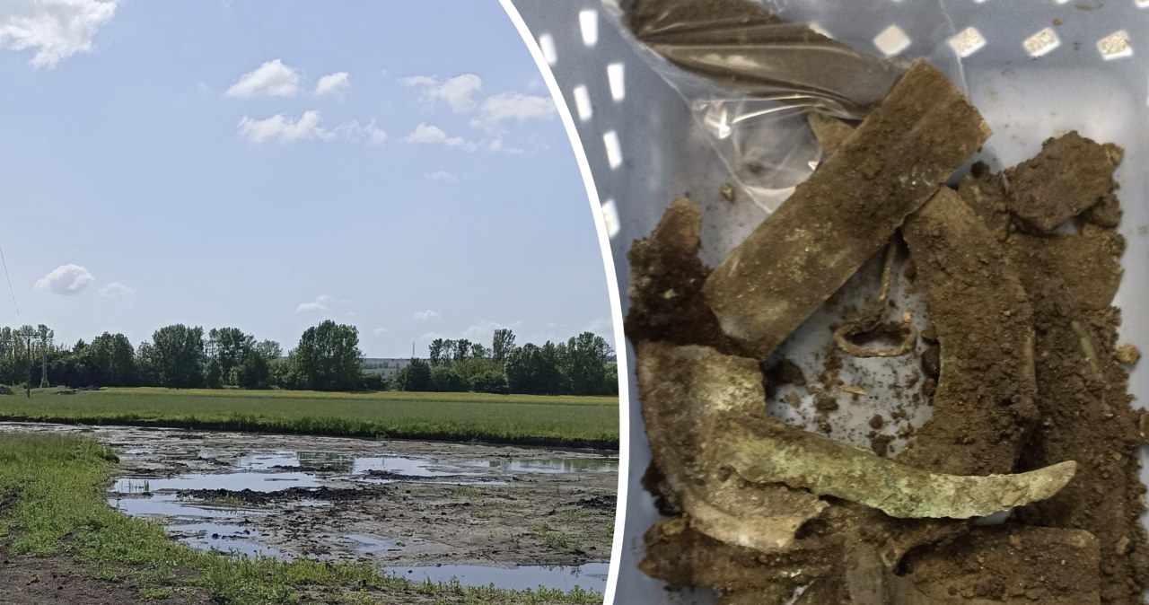Skarb sprzed 3 tys. lat na czeskich bagnach. Wskazuje na pradawny rytuał