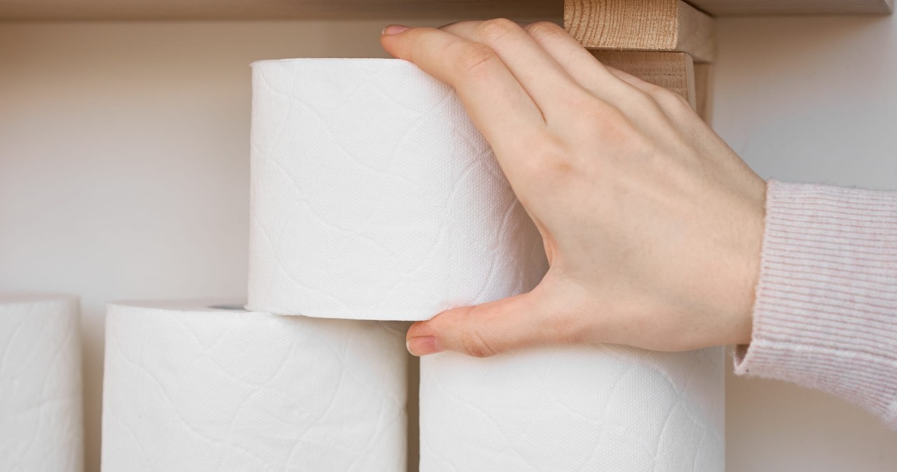 Komary uprzykrzają życie? Rolka papieru pomoże się ich pozbyć