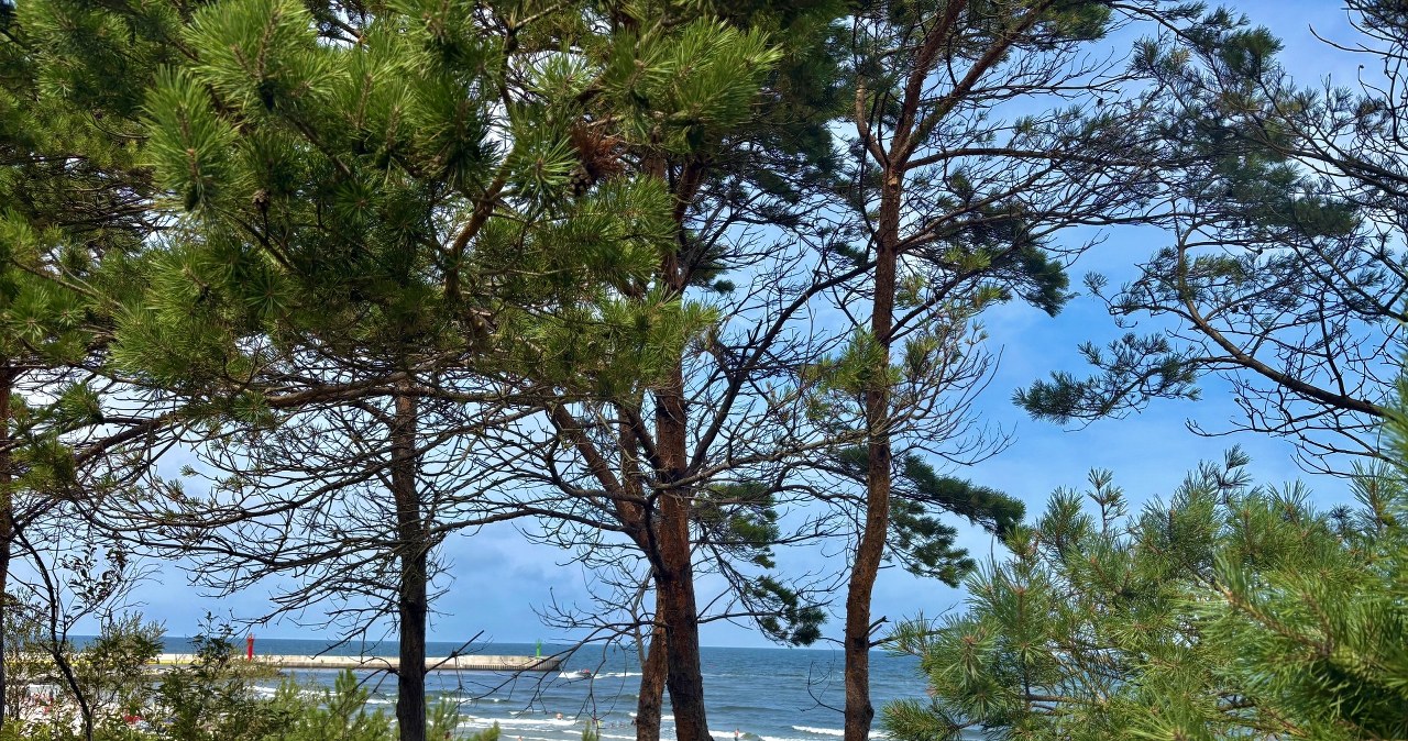 Spokojny wypoczynek nad Bałtykiem. Tu trafisz choćby na pustą plażę