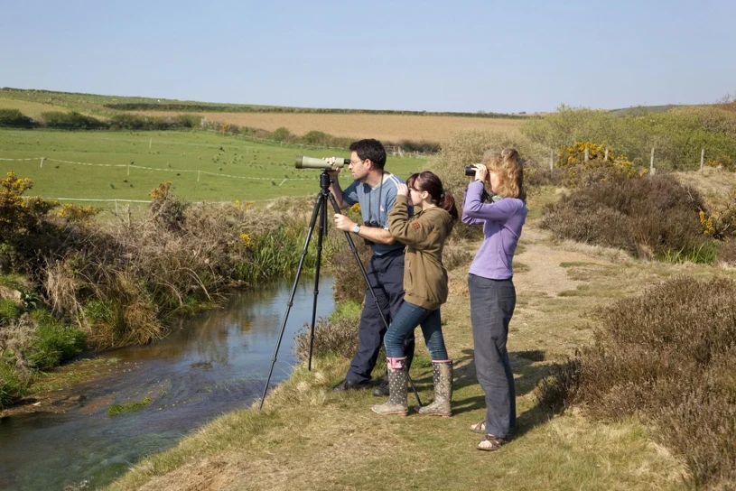 Pokolenie Z pokochało birdwatching. telefony zamieniają na lornetki