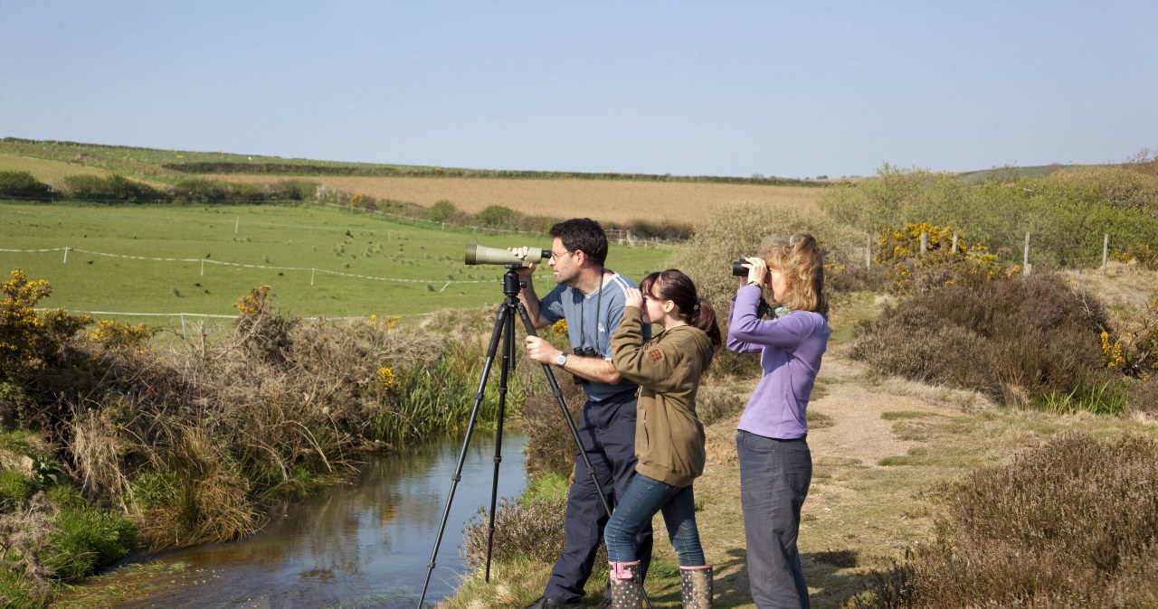 Pokolenie Z pokochało birdwatching. telefony zamieniają na lornetki