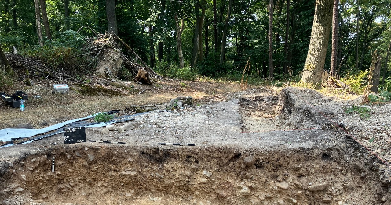 To wyrosło spod ziemi. W Niemczech odkryto ślady grobowca sprzed 6000 lat