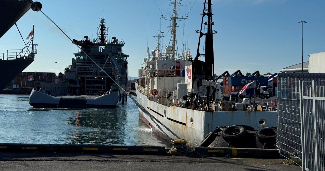 Islandia wydali 21 aktywistów. Chcieli powstrzymać polowanie na wieloryby Islandia wydali 21 aktywistów. Chcieli powstrzymać polowanie na wieloryby