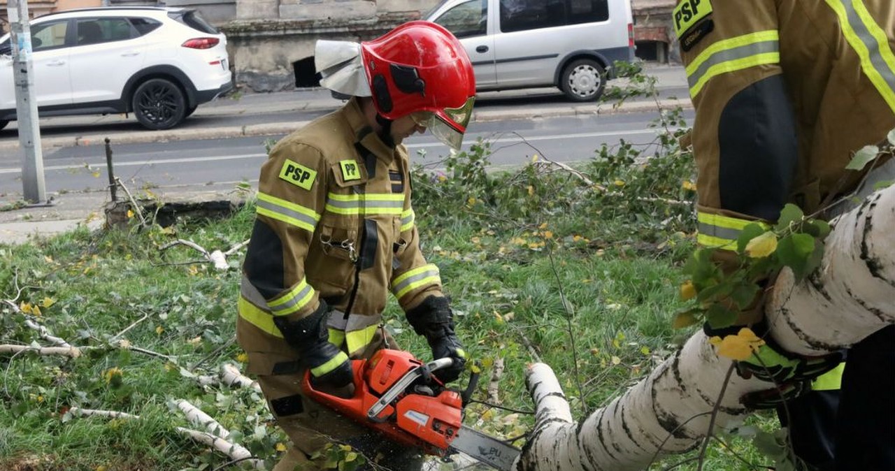 Szaniec. Groźny incydent na trasie 45. Kieleckiej Pieszej Pielgrzymki Szaniec. Groźny incydent na trasie 45. Kieleckiej Pieszej Pielgrzymki