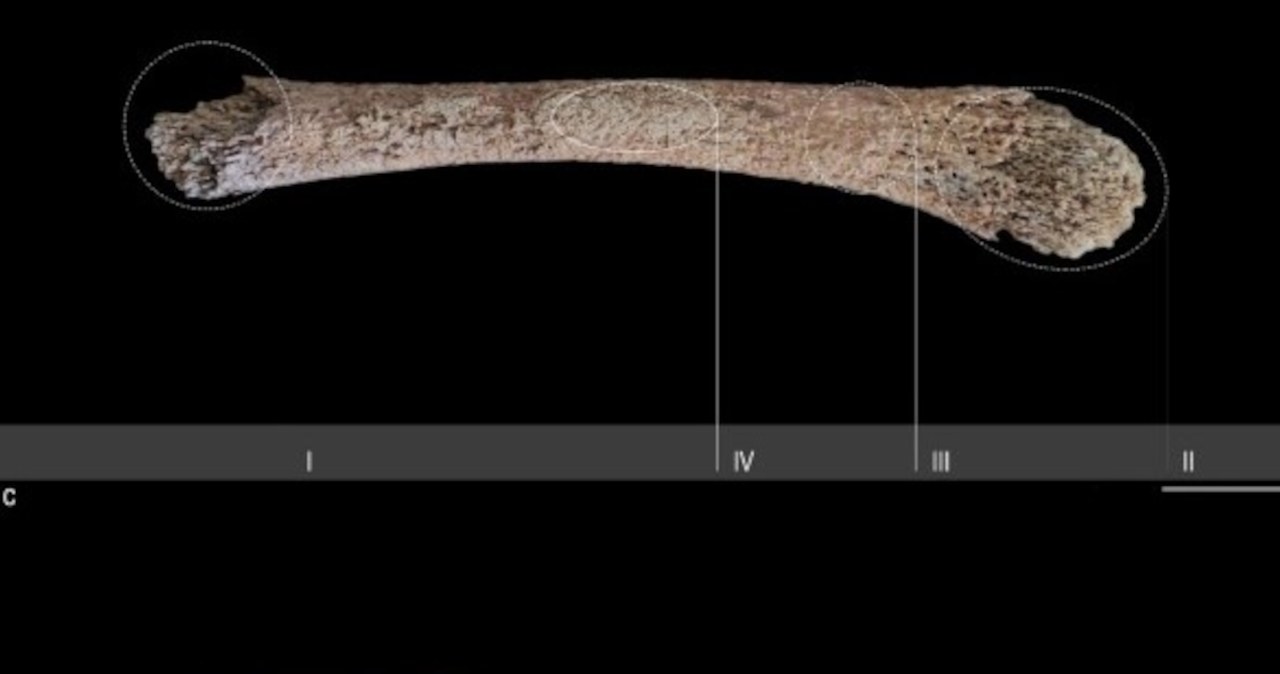 Archeolodzy odkryli w Alpach najstarsze ślady zabiegu porodowego