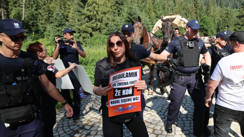 Protest przeciwko konnym wozom na trasie do Morskiego Oka