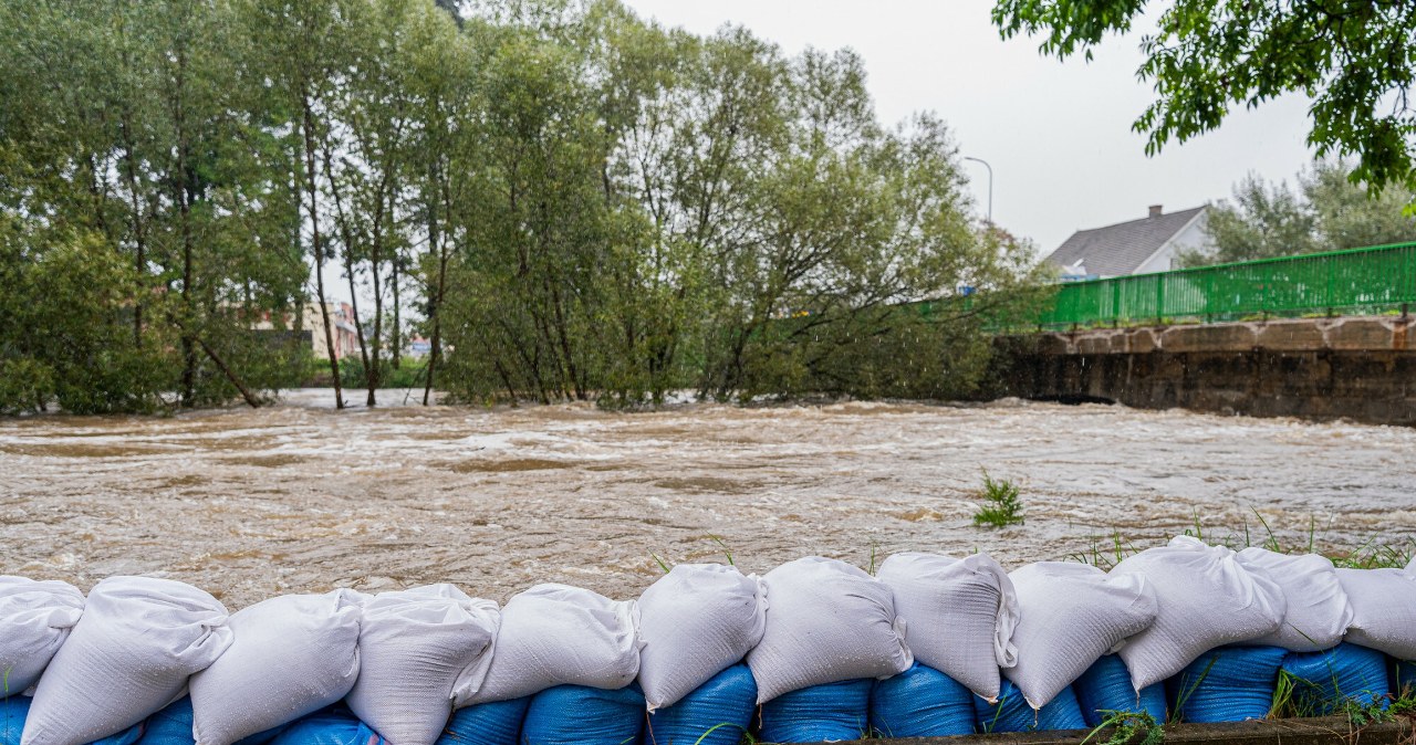 Anna Konieczyńska zawieszona w KO po doniesieniach mediów Anna Konieczyńska zawieszona w KO po doniesieniach mediów