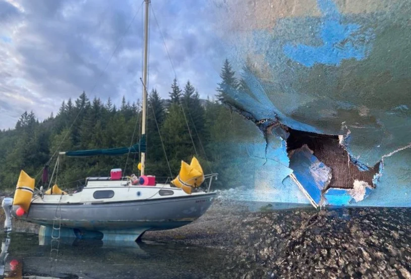 Humbak zatopił żaglówkę w parku Glacier Bay na Alasce — rodzina uratowana