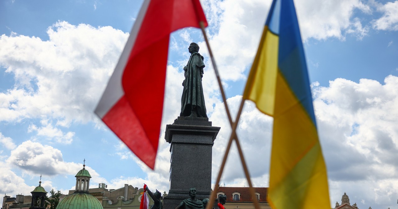 Pomysł deportacji Ukraińców w wieku poborowym. Polacy ocenili
