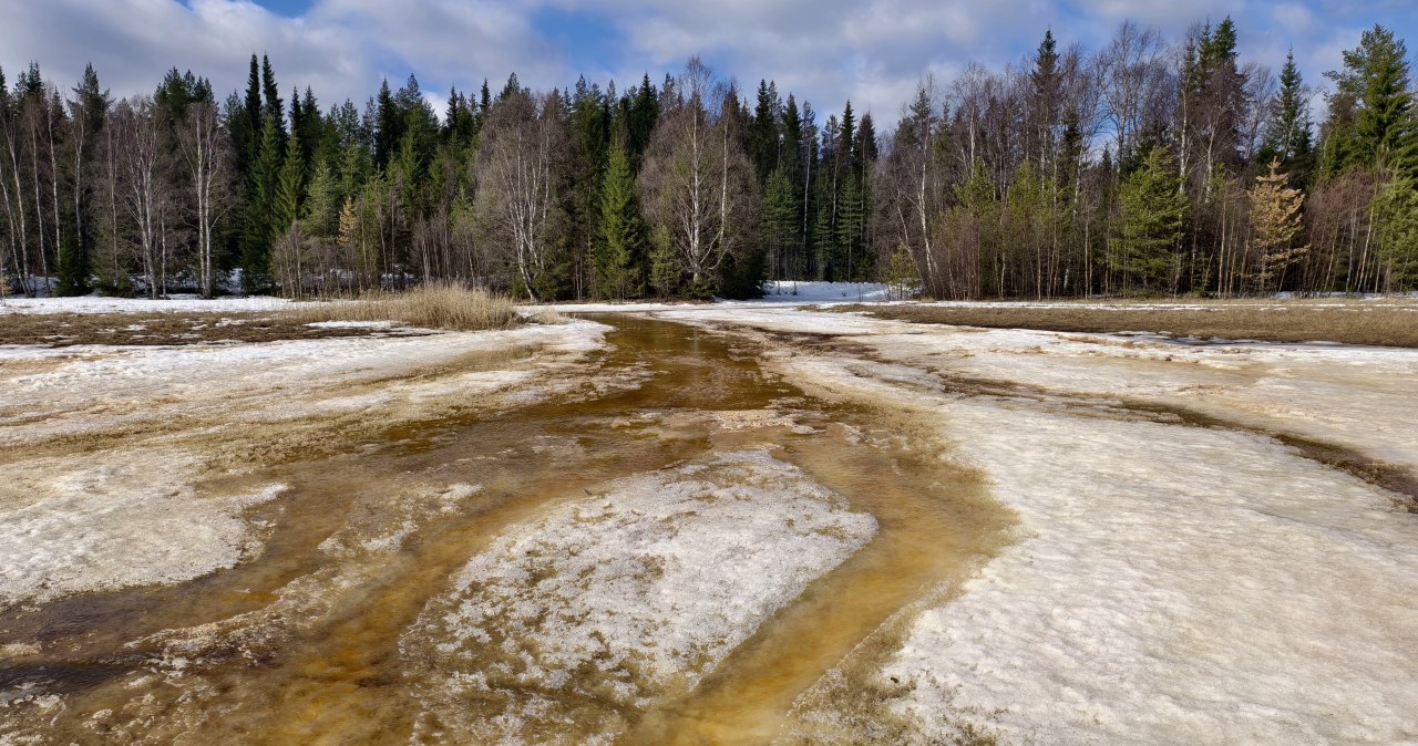 Syberia się gotuje. W Arktyce padły rekordy temperatur