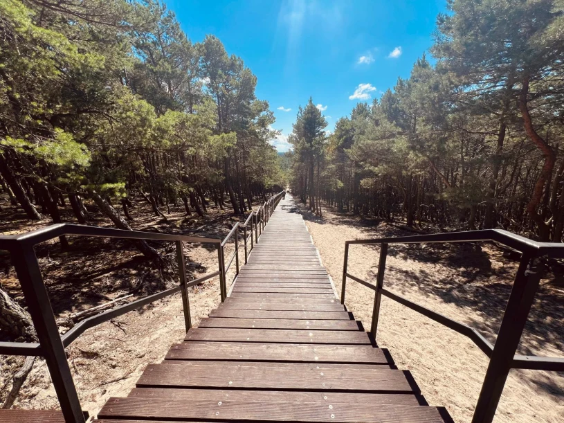Czołpino: 300 steps and stunning views in Słowiński National Park