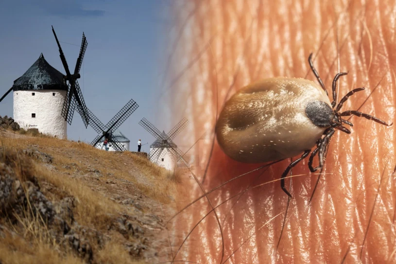 Third Crimean-Congo haemorrhagic fever case confirmed in Spain — one dead