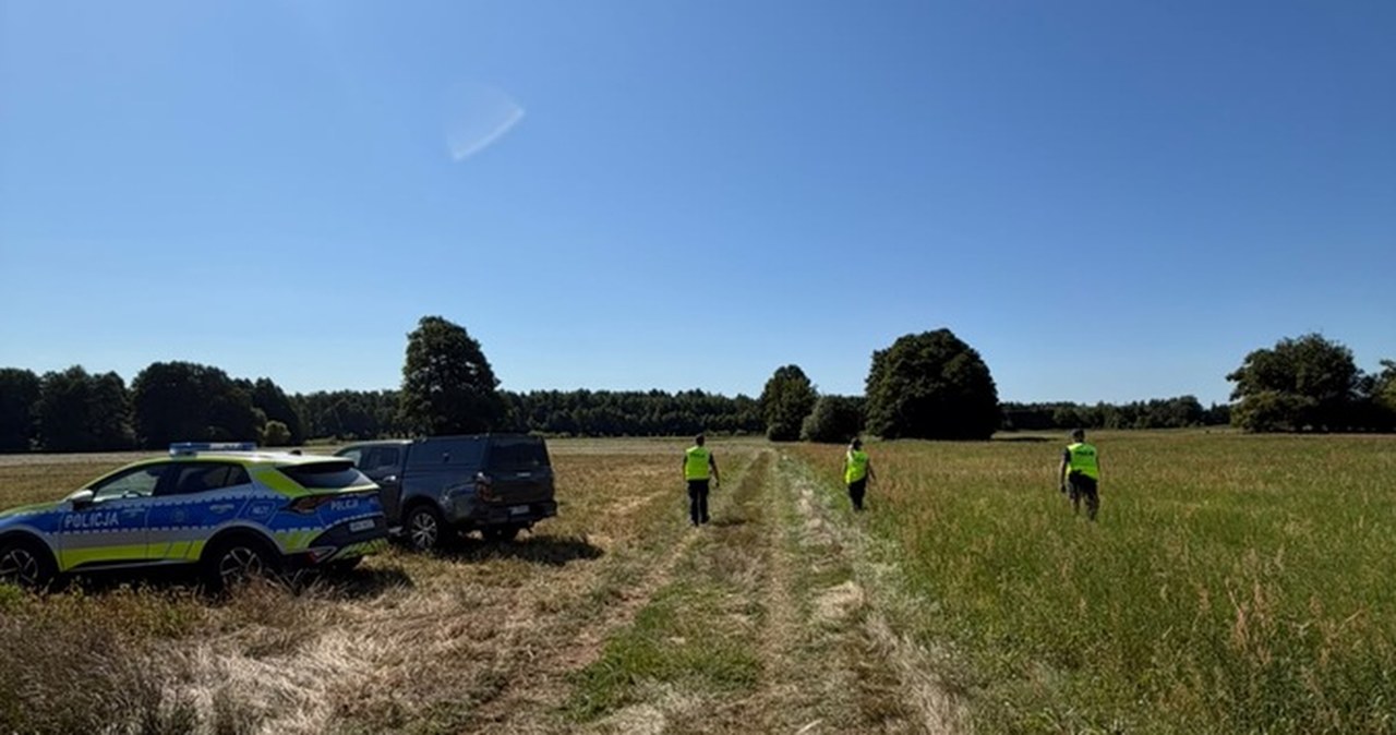 Stawinoga. Puma znów widziana w rejonie. Policja apeluje do mieszkańców Stawinoga. Puma znów widziana w rejonie. Policja apeluje do mieszkańców