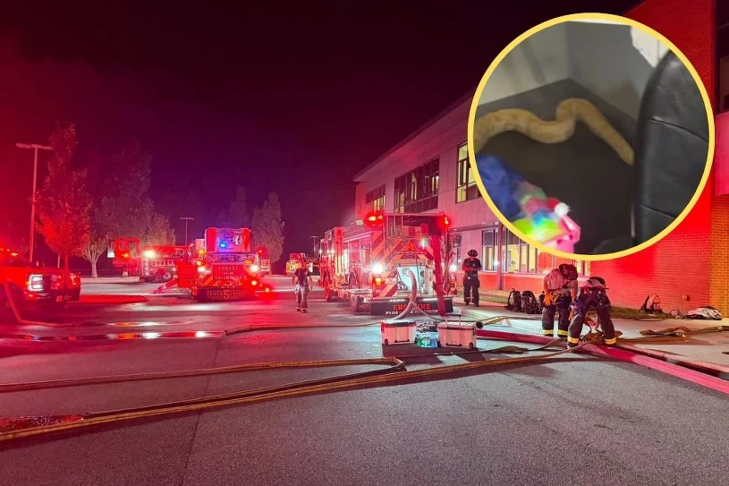 Escaped python sparks fire that destroys eight classrooms in Virginia school